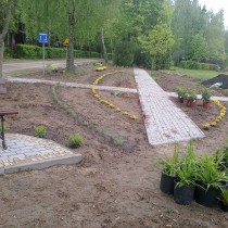 Równanie terenu i pierwsze nasadzenia