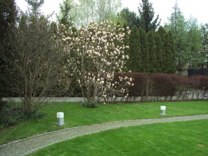 DSC04671